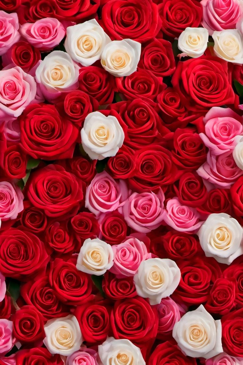 Rosas