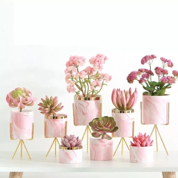 Plantas