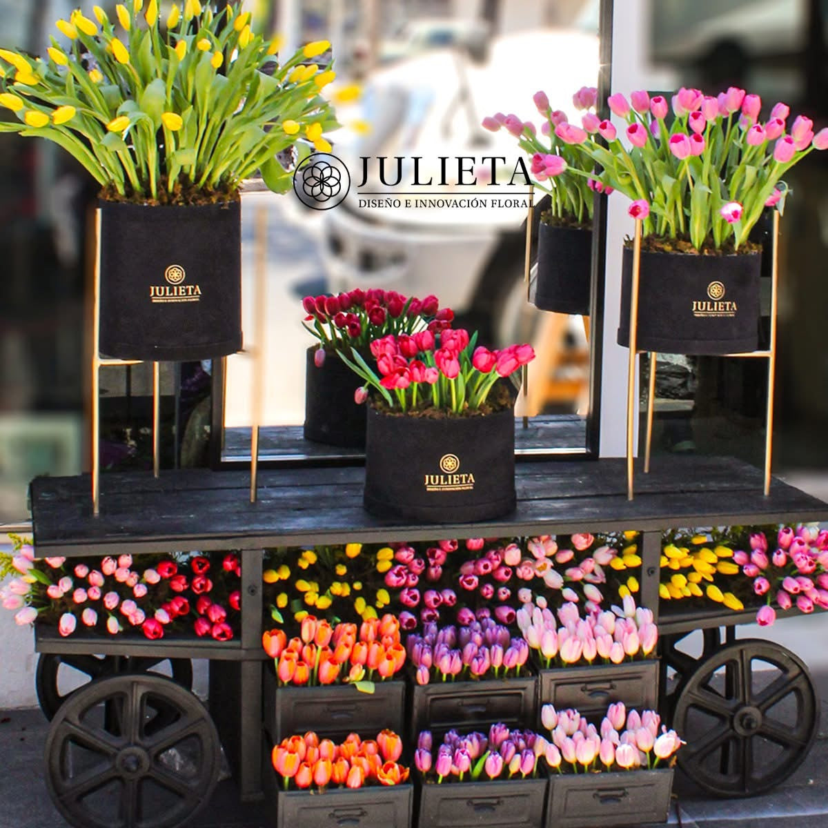 Elegancia en Tulipanes