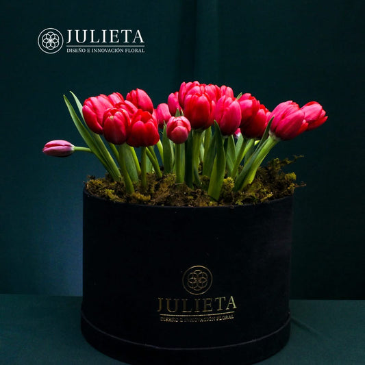 Elegancia en Tulipanes